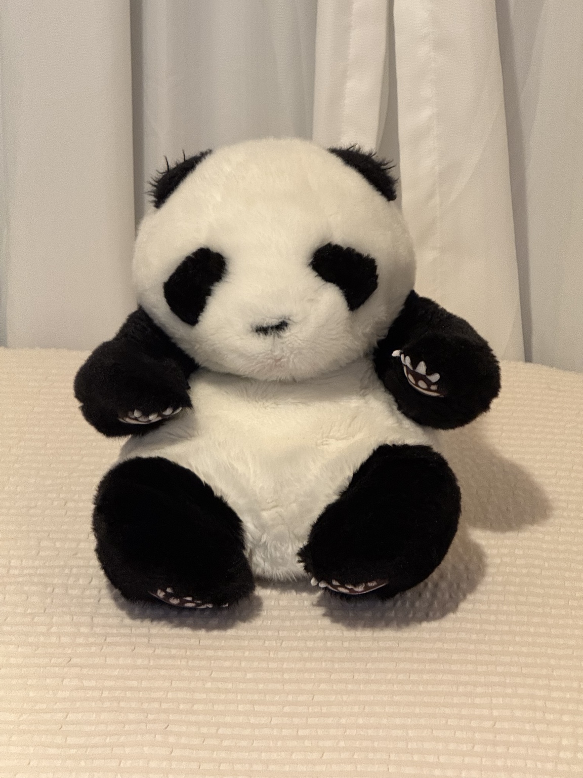 Front reference of the Xiongan plush character